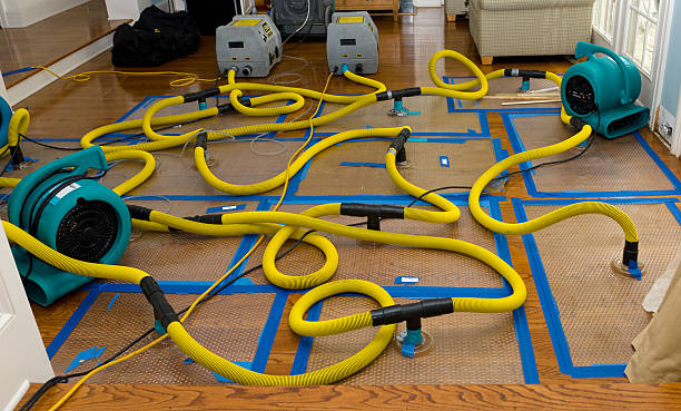 Professional Water Damage Restoration technician working in Greensboro, GA
